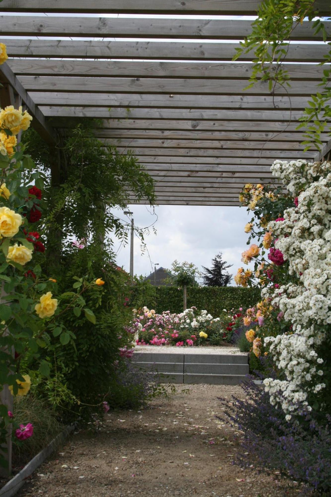 B&B La Vie En Roses Moorsel Екстериор снимка