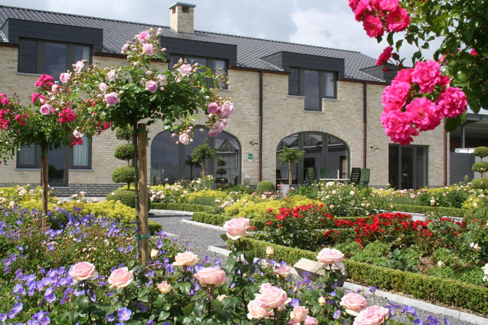 B&B La Vie En Roses Moorsel Екстериор снимка